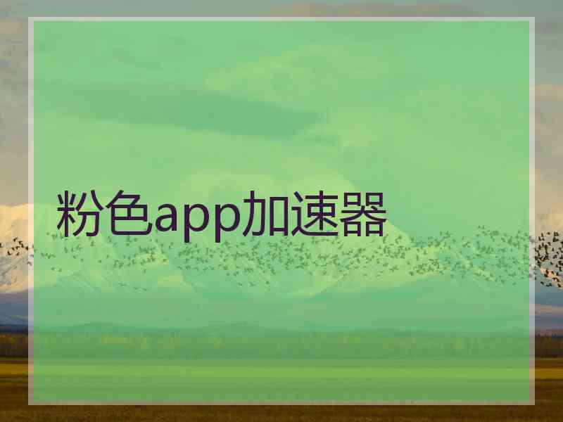 粉色app加速器