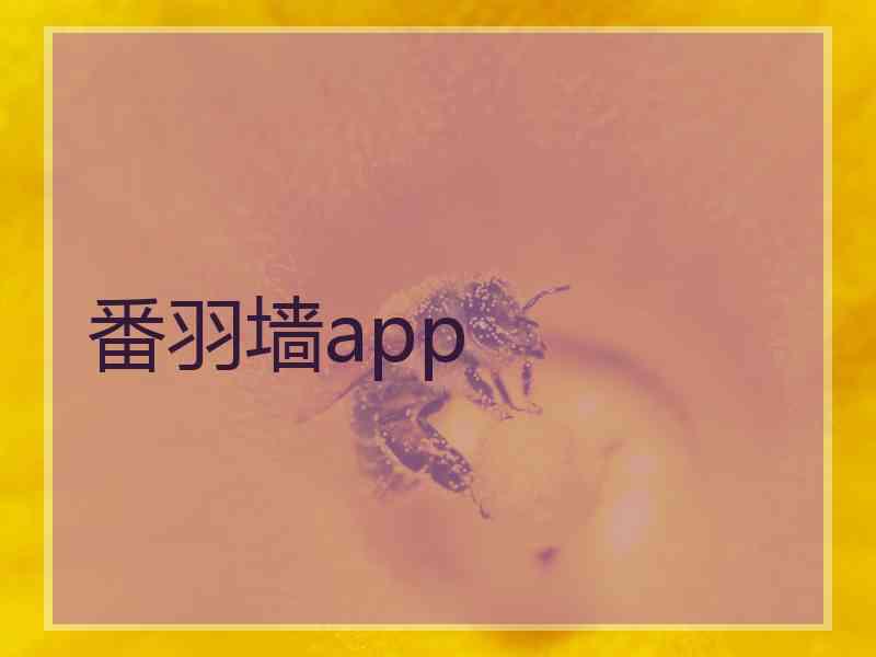 番羽墙app