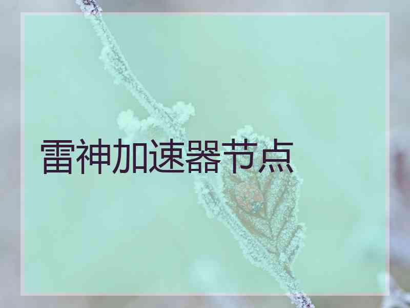 雷神加速器节点
