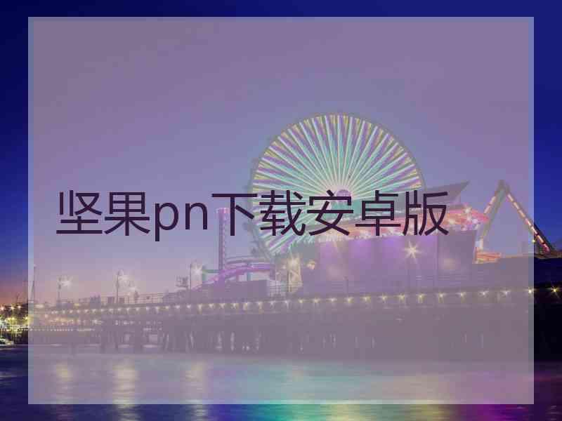 坚果pn下载安卓版