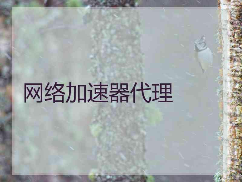 网络加速器代理