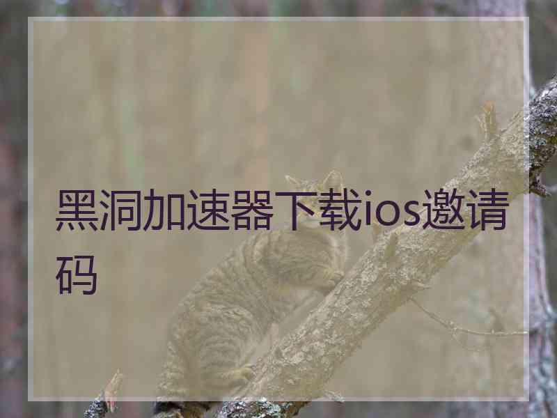 黑洞加速器下载ios邀请码