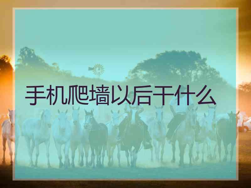 手机爬墙以后干什么