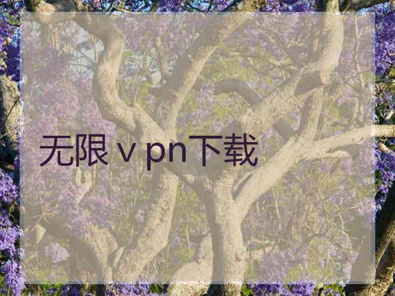 无限ⅴpn下载