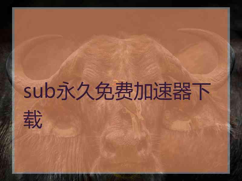 sub永久免费加速器下载