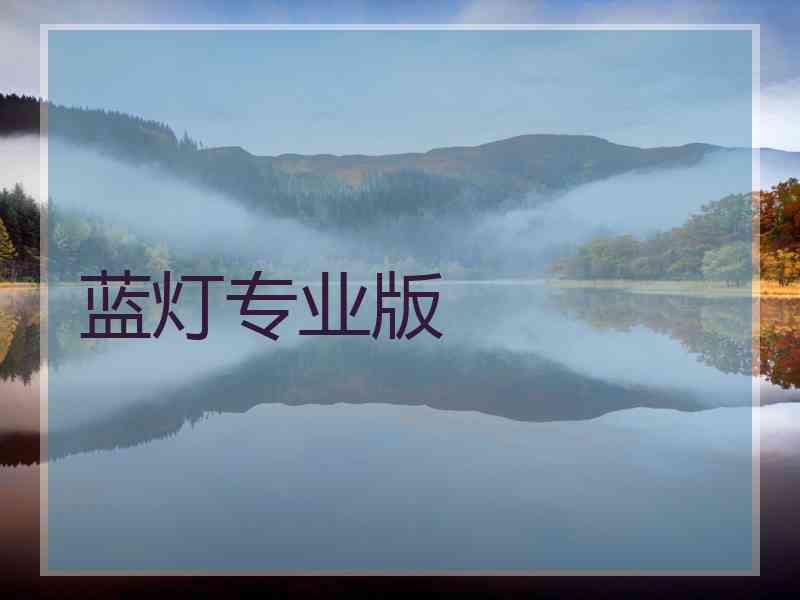 蓝灯专业版
