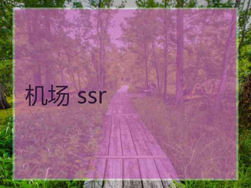 机场 ssr