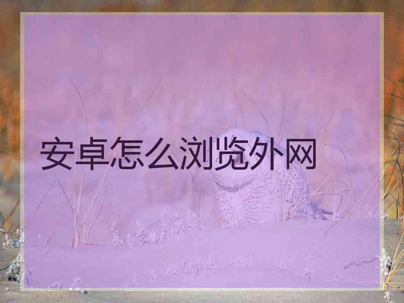 安卓怎么浏览外网