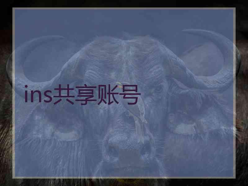 ins共享账号