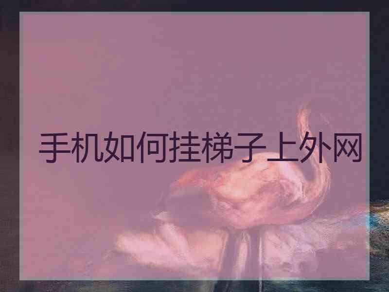 手机如何挂梯子上外网