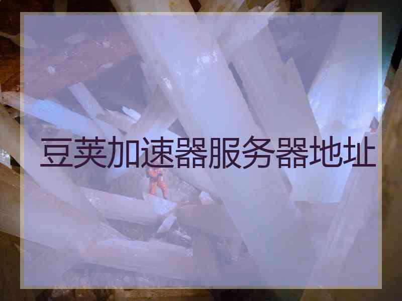 豆荚加速器服务器地址