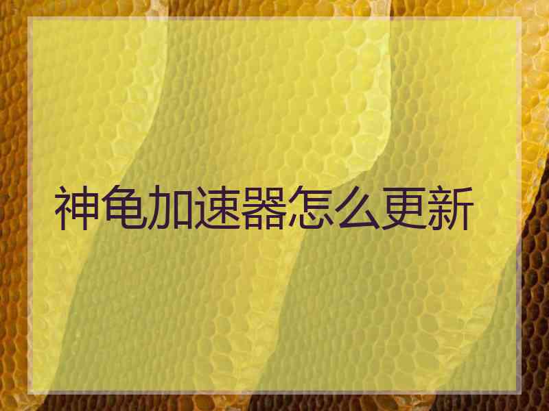 神龟加速器怎么更新