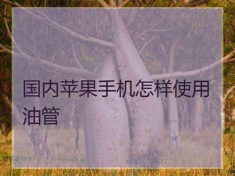 国内苹果手机怎样使用油管