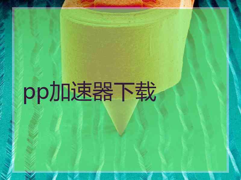 pp加速器下载