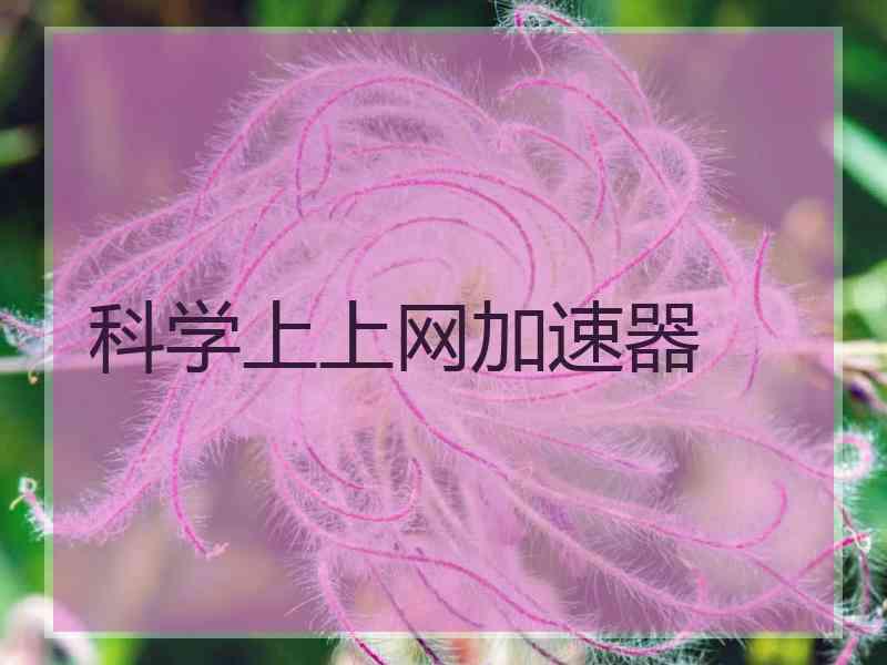 科学上上网加速器