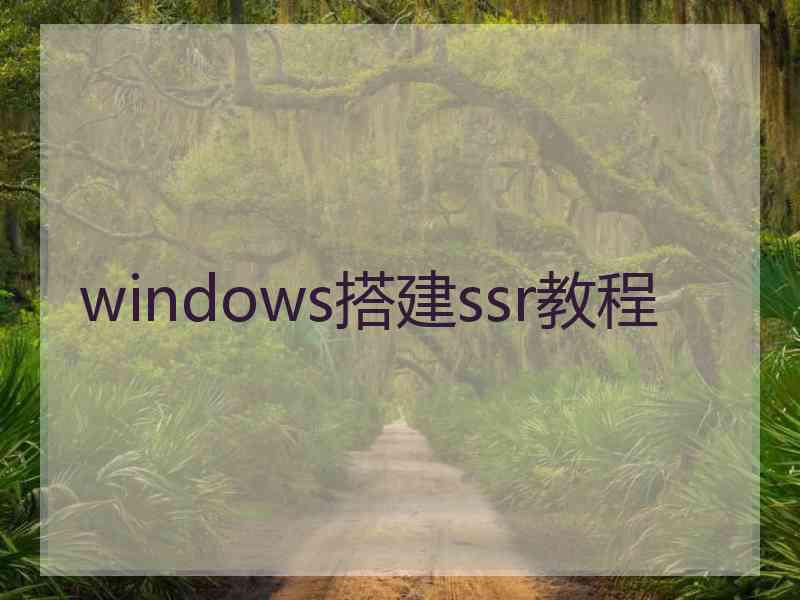 windows搭建ssr教程
