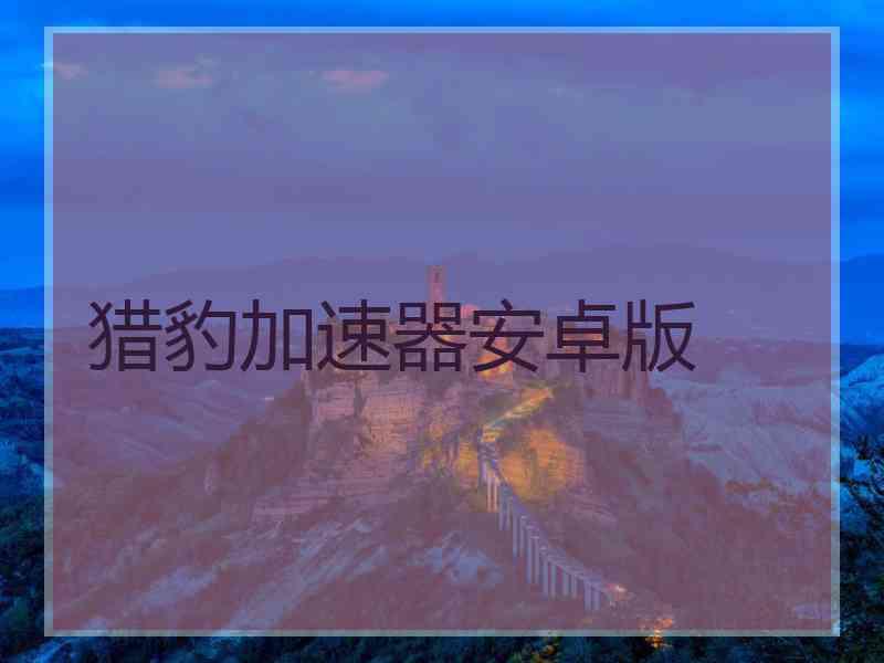 猎豹加速器安卓版