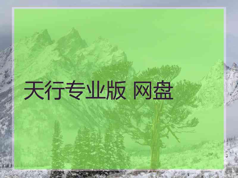 天行专业版 网盘