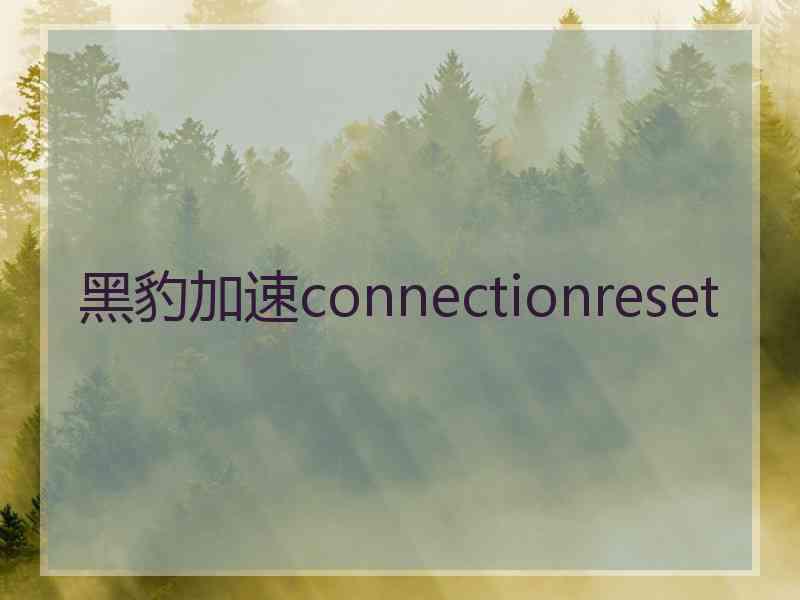 黑豹加速connectionreset