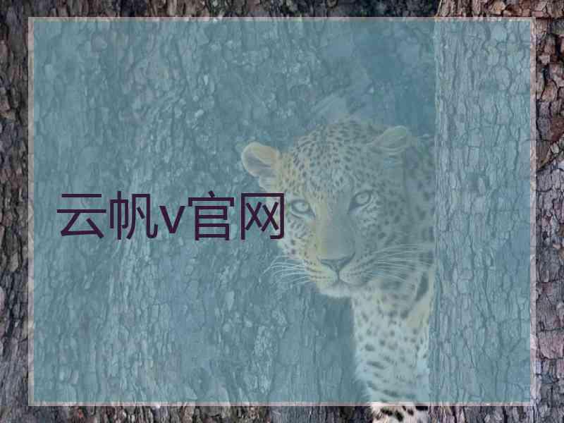 云帆v官网