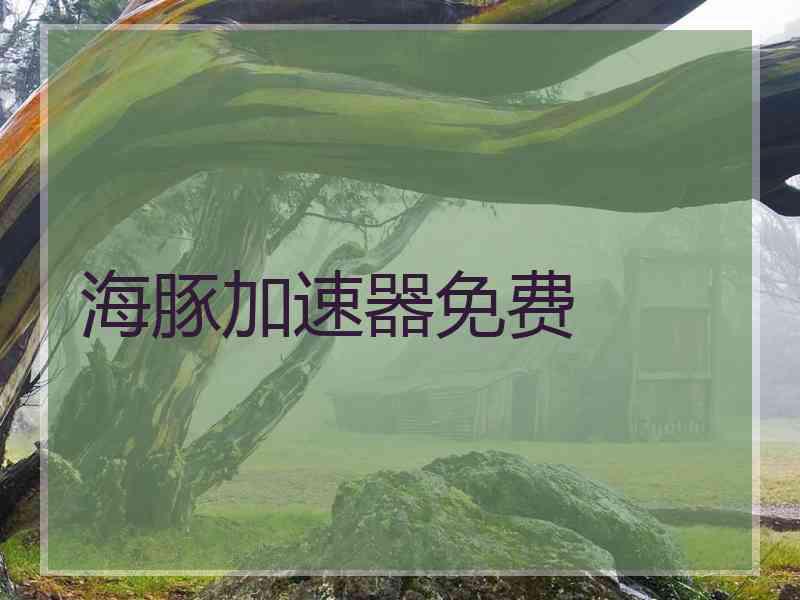 海豚加速器免费