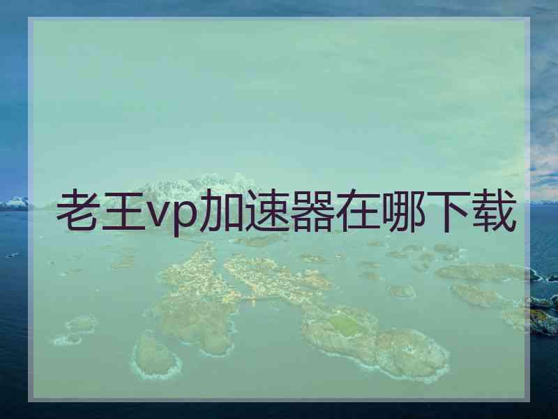老王vp加速器在哪下载