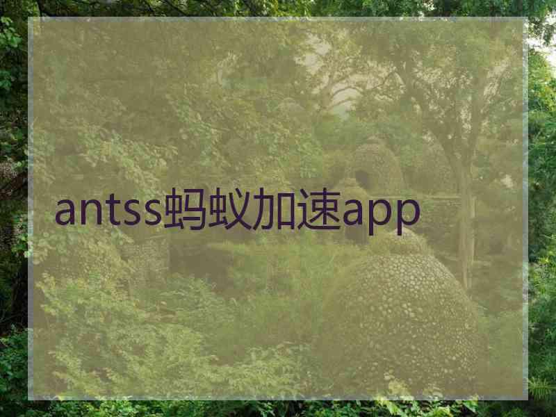 antss蚂蚁加速app