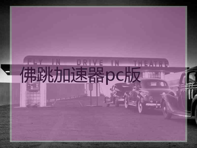 佛跳加速器pc版