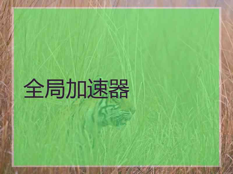 全局加速器