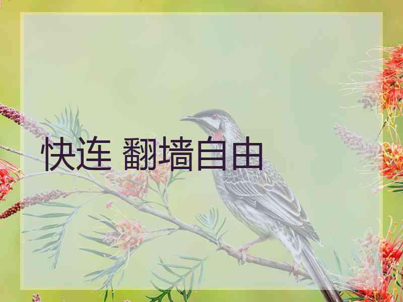 快连 翻墙自由