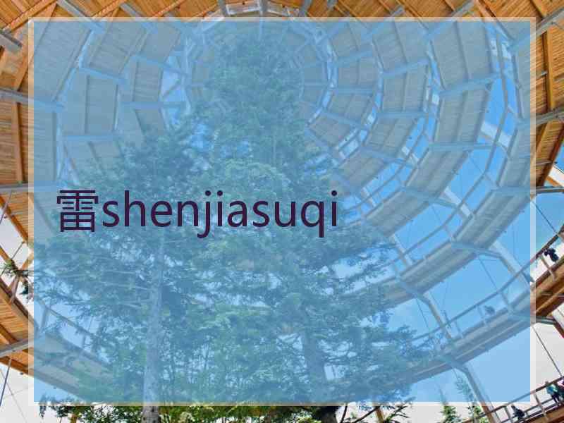 雷shenjiasuqi