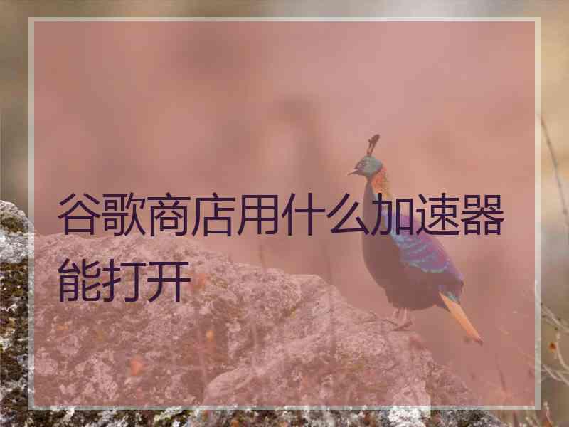谷歌商店用什么加速器能打开