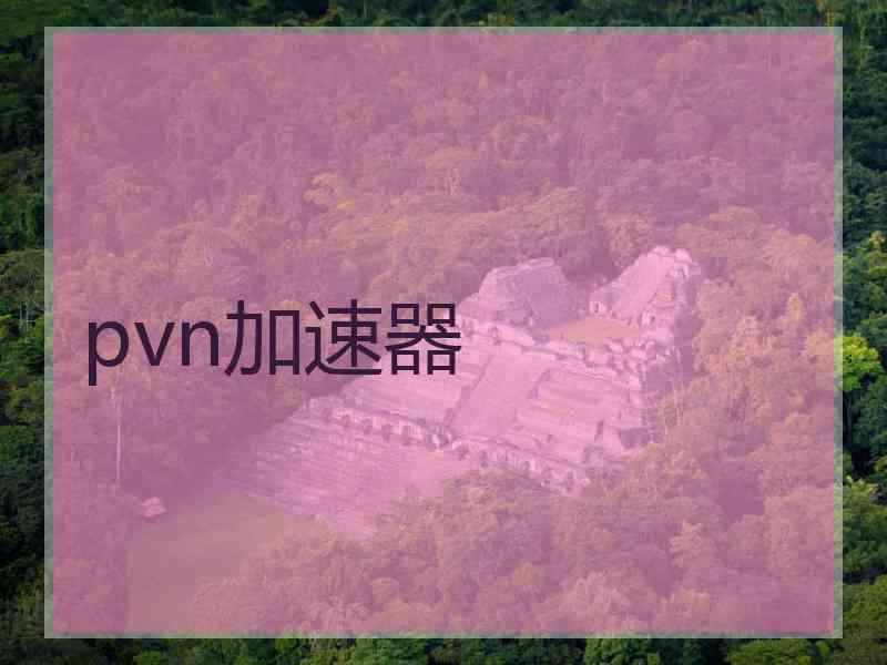 pvn加速器