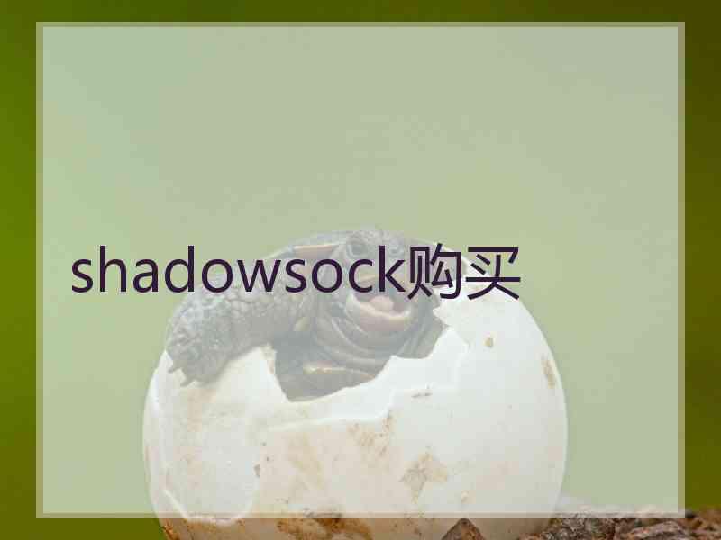 shadowsock购买