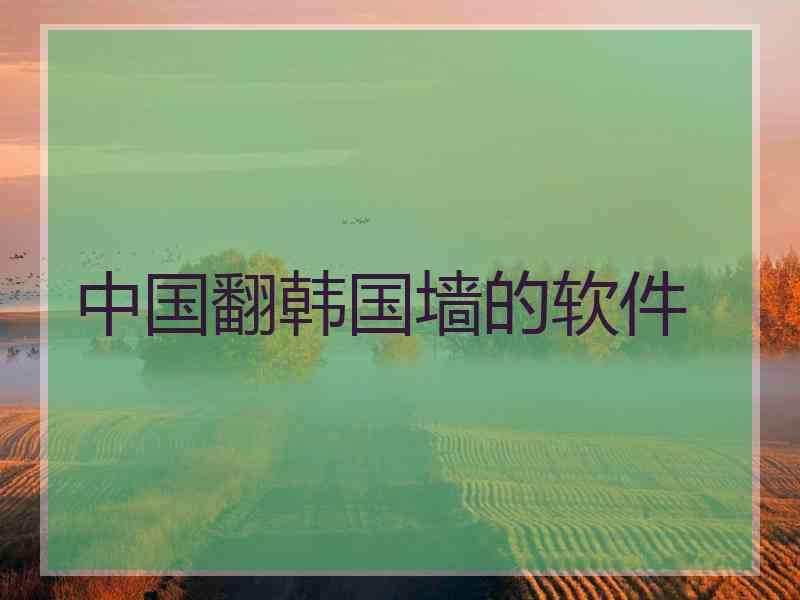中国翻韩国墙的软件