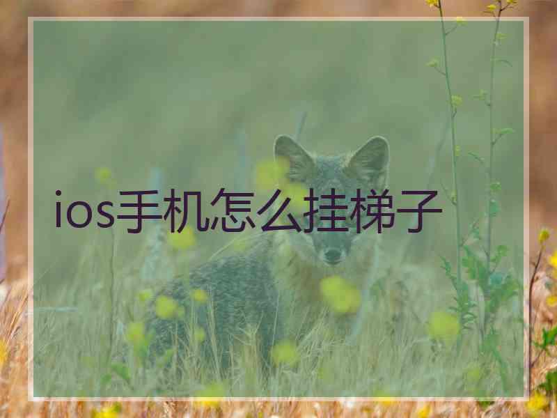 ios手机怎么挂梯子