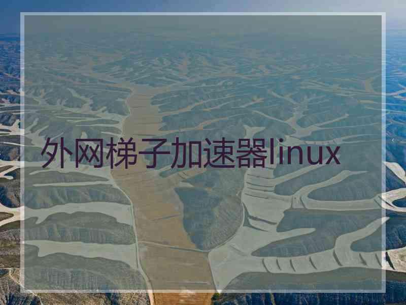 外网梯子加速器linux