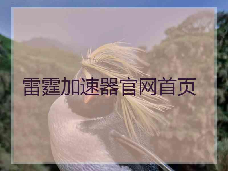雷霆加速器官网首页