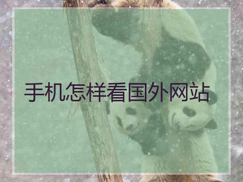 手机怎样看国外网站