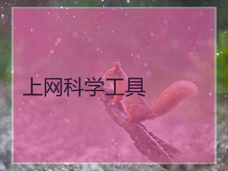 上网科学工具