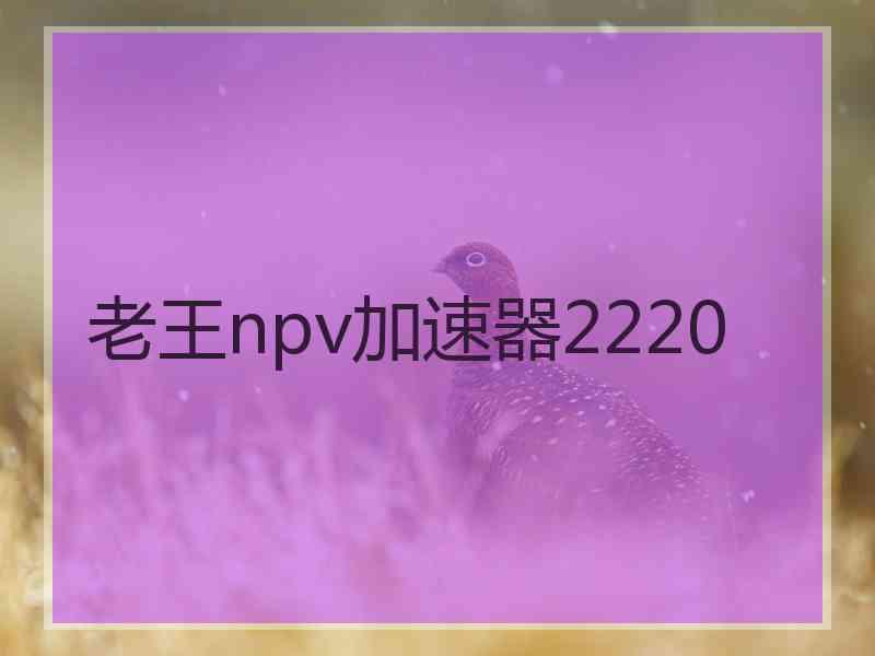 老王npv加速器2220