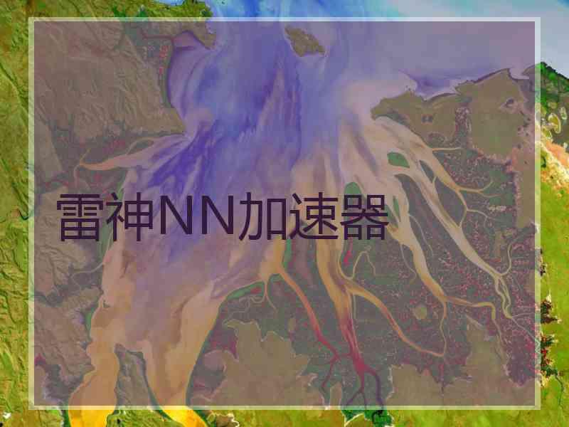 雷神NN加速器