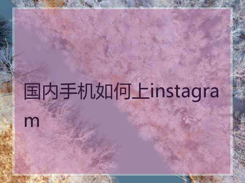 国内手机如何上instagram
