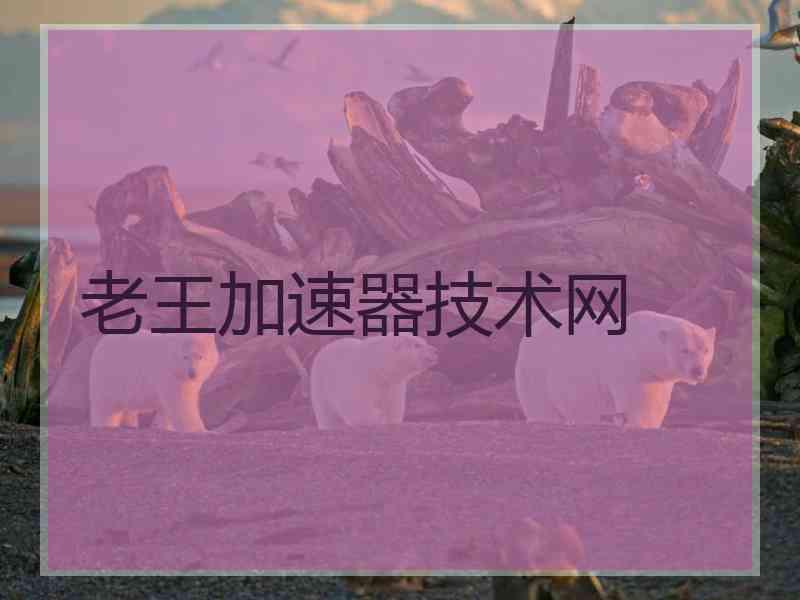 老王加速器技术网