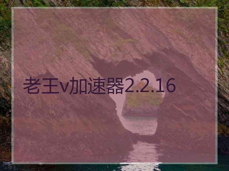 老王v加速器2.2.16