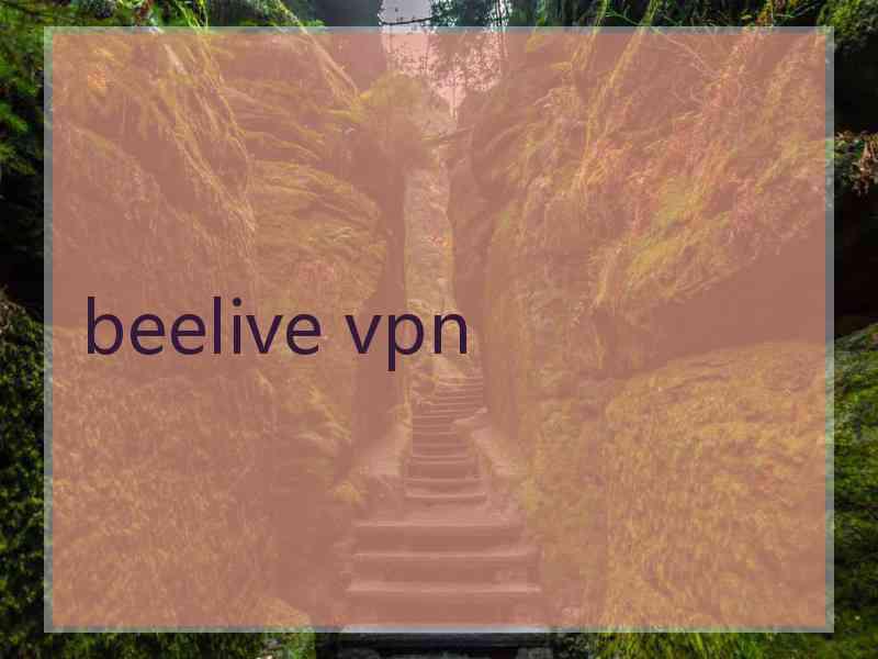 beelive vpn