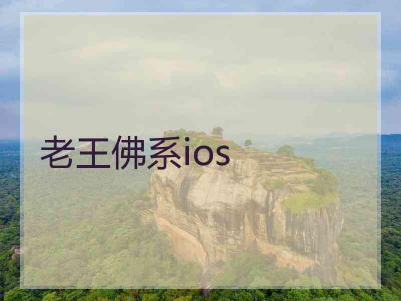 老王佛系ios