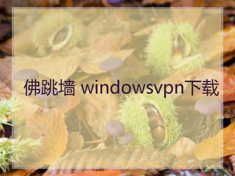 佛跳墙 windowsvpn下载