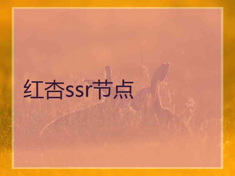 红杏ssr节点