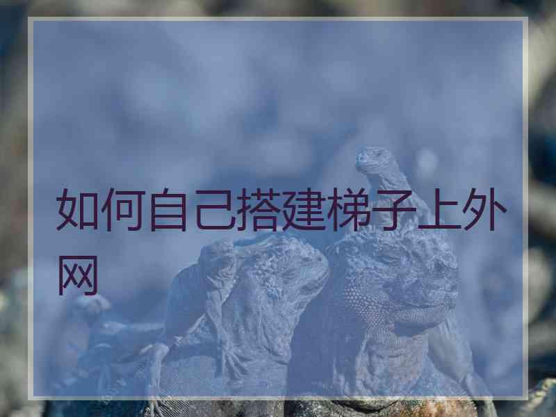 如何自己搭建梯子上外网